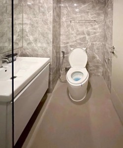 Picture of Studio bed Condo in Ideo Q Siam - Ratchathewi Thanonphayathai Sub District C021033