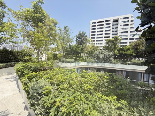 Picture of 2 bed Condo in FYNN Asoke Khlongtoei Sub District C021127