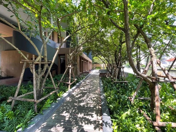 Picture of 2 bed Condo in Hasu Haus Phrakhanongnuea Sub District C021139