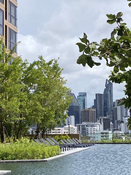 Picture of 1 bed Condo in OKA HAUS Sukhumvit 36 Khlongtan Sub District C021213