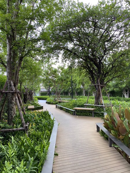 Picture of 1 bed Condo in OKA HAUS Sukhumvit 36 Khlongtan Sub District C021213