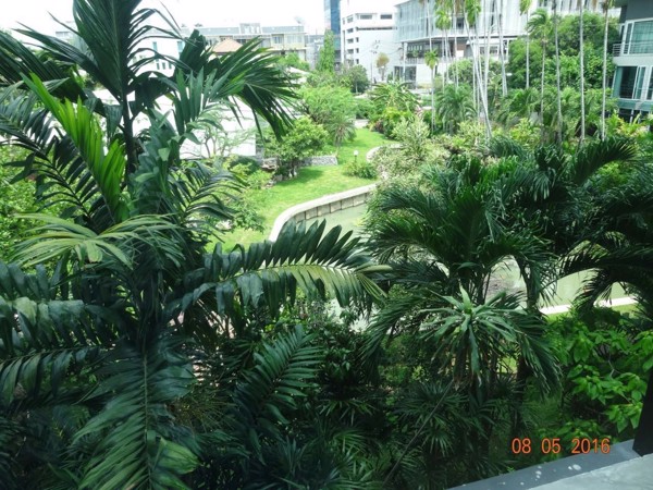 Picture of 1 bed Condo in Tidy Thonglor Khlong Tan Nuea Sub District C021258